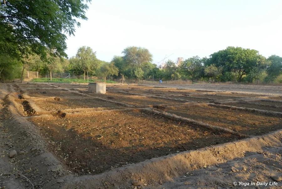 2018 lucerne grass area prepared